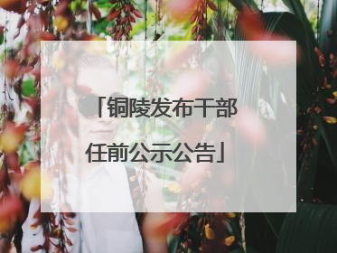 铜陵发布干部任前公示公告