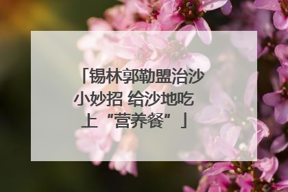 锡林郭勒盟治沙小妙招 给沙地吃上“营养餐”
