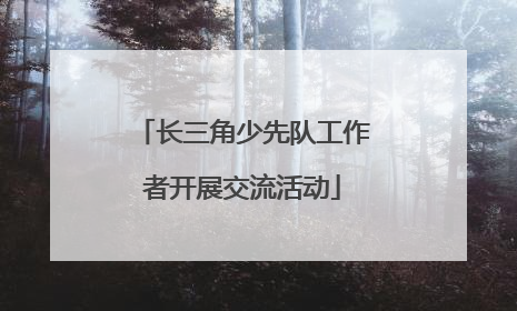长三角少先队工作者开展交流活动