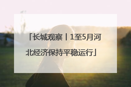 长城观察丨1至5月河北经济保持平稳运行