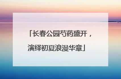 长春公园芍药盛开，演绎初夏浪漫华章