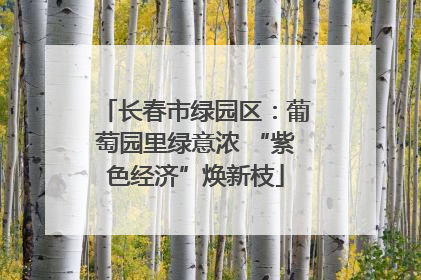 长春市绿园区：葡萄园里绿意浓 “紫色经济”焕新枝