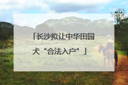长沙拟让中华田园犬“合法入户”