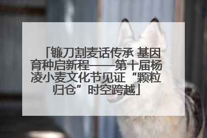 镰刀割麦话传承 基因育种启新程——第十届杨凌小麦文化节见证“颗粒归仓”时空跨越