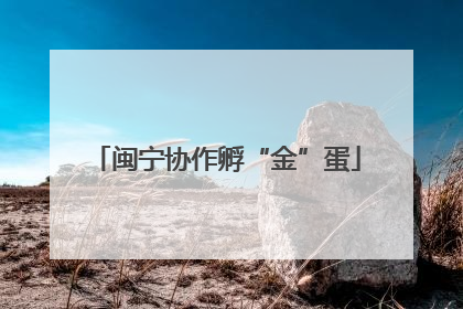闽宁协作孵“金”蛋