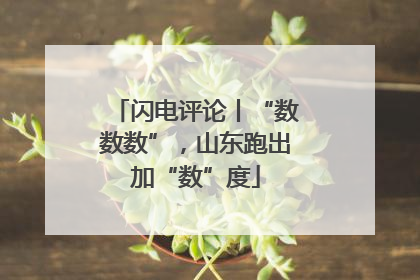 闪电评论丨“数数数”，山东跑出加“数”度