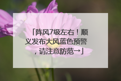 阵风7级左右！顺义发布大风蓝色预警，请注意防范→