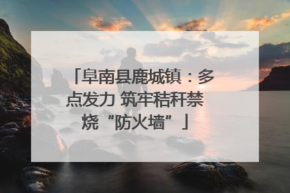 阜南县鹿城镇：多点发力 筑牢秸秆禁烧“防火墙”
