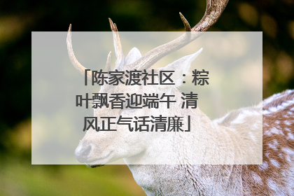 陈家渡社区：粽叶飘香迎端午 清风正气话清廉