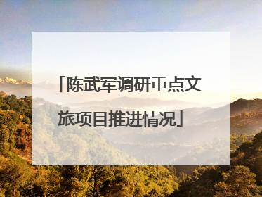 陈武军调研重点文旅项目推进情况