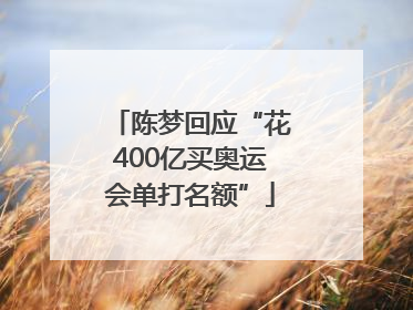 陈梦回应“花400亿买奥运会单打名额”