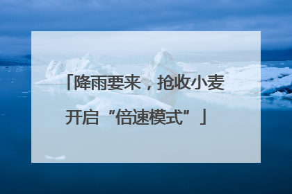 降雨要来，抢收小麦开启“倍速模式”