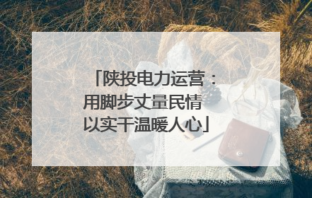 陕投电力运营：用脚步丈量民情 以实干温暖人心