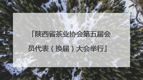 陕西省茶业协会第五届会员代表（换届）大会举行