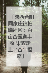 陕西合阳同家庄镇柏瑞社区：百亩杏园迎丰收 果农走上“杏”福路