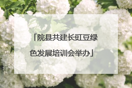 院县共建长豇豆绿色发展培训会举办