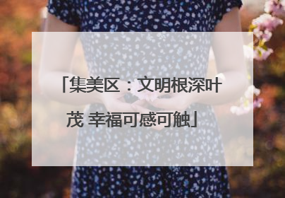 集美区：文明根深叶茂 幸福可感可触