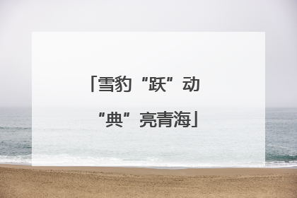 雪豹“跃”动 “典”亮青海