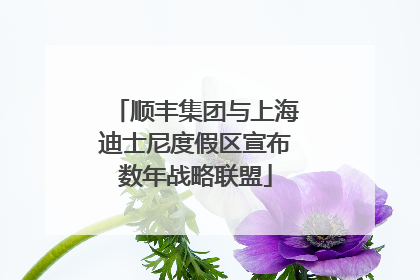 顺丰集团与上海迪士尼度假区宣布数年战略联盟