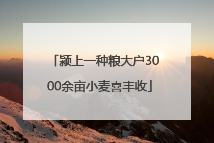 颍上一种粮大户3000余亩小麦喜丰收