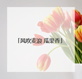 风吹麦浪 瓜果香