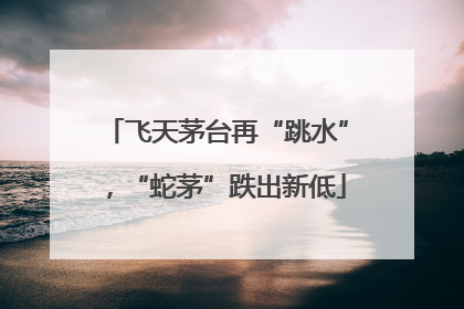 飞天茅台再“跳水”，“蛇茅”跌出新低