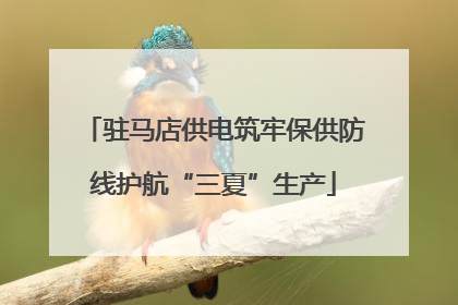 驻马店供电筑牢保供防线护航“三夏”生产
