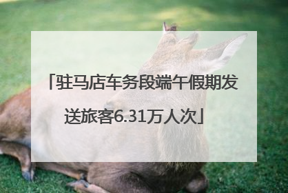 驻马店车务段端午假期发送旅客6.31万人次