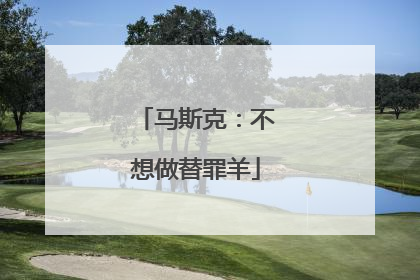 马斯克：不想做替罪羊
