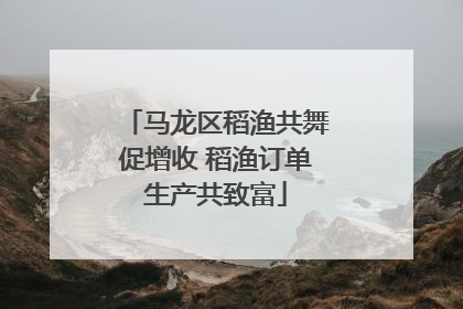 马龙区稻渔共舞促增收 稻渔订单生产共致富