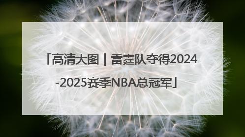 高清大图｜雷霆队夺得2024-2025赛季NBA总冠军