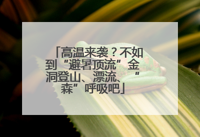 高温来袭？不如到“避暑顶流”金洞登山、漂流、“森”呼吸吧