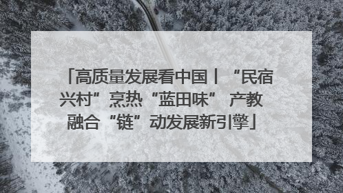 高质量发展看中国丨“民宿兴村”烹热“蓝田味” 产教融合“链”动发展新引擎