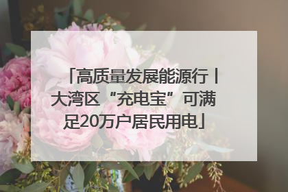 高质量发展能源行丨大湾区“充电宝”可满足20万户居民用电