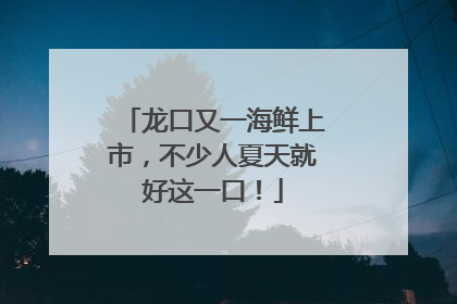 龙口又一海鲜上市，不少人夏天就好这一口！