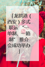 龙拱港（西安）多式联运 “一单制、一箱制” 推介会成功举办