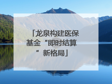 龙泉构建医保基金“即时结算”新格局