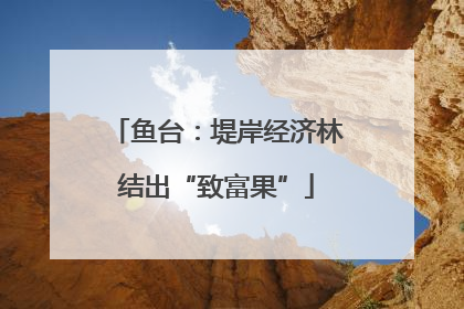 鱼台：堤岸经济林结出“致富果”