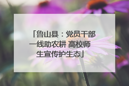 鲁山县：党员干部一线助农耕 高校师生宣传护生态