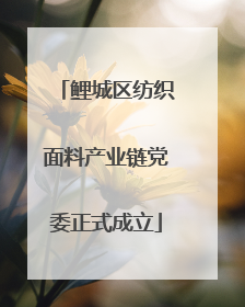 鲤城区纺织面料产业链党委正式成立