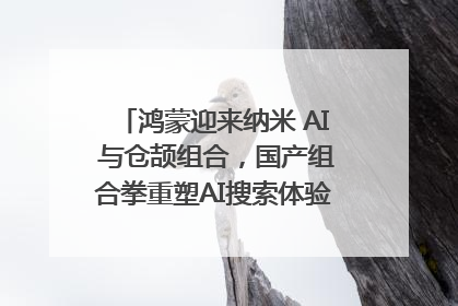 鸿蒙迎来纳米 AI 与仓颉组合，国产组合拳重塑AI搜索体验｜新经济观察