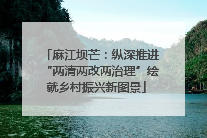 麻江坝芒：纵深推进“两清两改两治理”绘就乡村振兴新图景