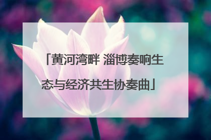 黄河湾畔 淄博奏响生态与经济共生协奏曲