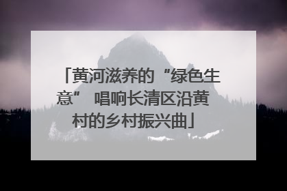 黄河滋养的“绿色生意” 唱响长清区沿黄村的乡村振兴曲