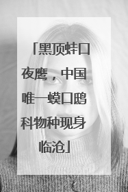 黑顶蛙口夜鹰，中国唯一蟆口鸱科物种现身临沧