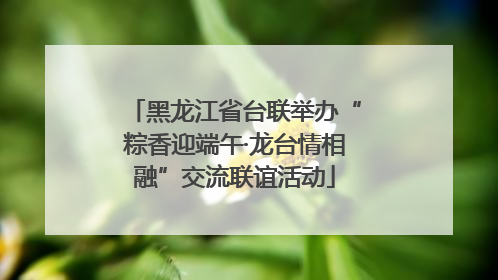黑龙江省台联举办“粽香迎端午·龙台情相融”交流联谊活动