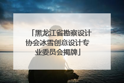 黑龙江省勘察设计协会冰雪创意设计专业委员会揭牌