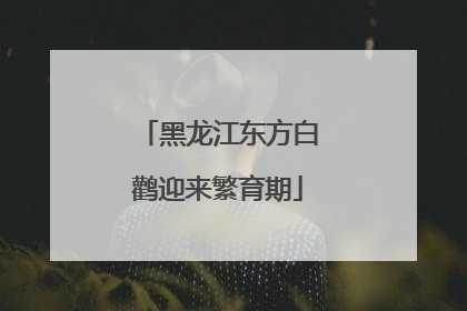 黑龙江东方白鹳迎来繁育期