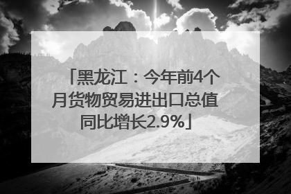 黑龙江：今年前4个月货物贸易进出口总值同比增长2.9%