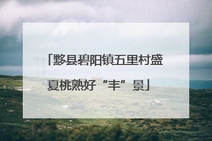 黟县碧阳镇五里村盛夏桃熟好“丰”景